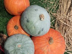 -老阿爸江浙土菜(奥体中心店)