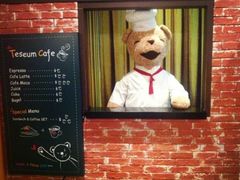 -济州岛泰迪熊博物馆