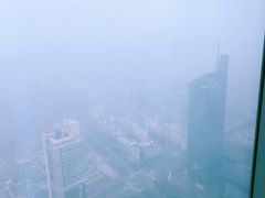 -紫峰大厦