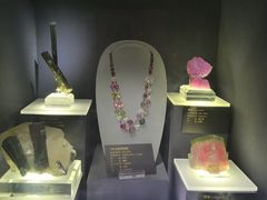 -湖南省地质博物馆