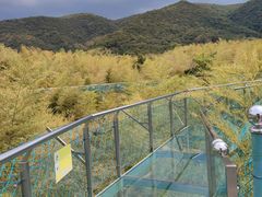 -陶祖圣境风景区