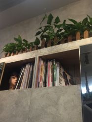 点击看大图 -V-STAR威斯达•高级私人定制
