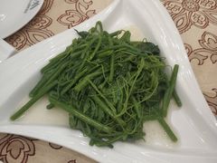 炝拌丝瓜尖-长白山国际酒店中餐厅