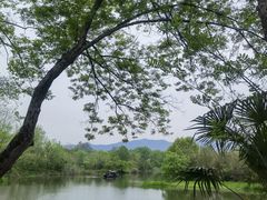 -西溪国家湿地公园