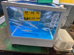 -西归浦每天偶来市场