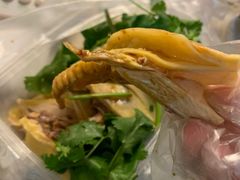 -九斤黄三黄鸡专卖店