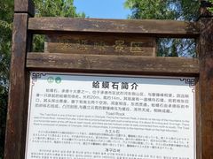 -磬锤峰森林公园