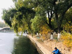 景点-沈阳南湖公园