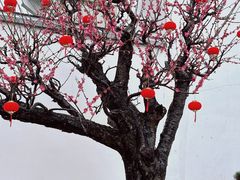 -龙华寺