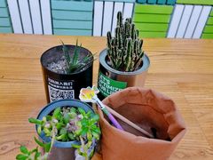 -Green Option(官舍店)
