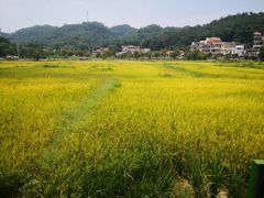 -红山村