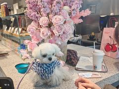 -ARKET CAFÉ(三里屯太古里店)