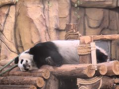 -泉州海丝野生动物世界