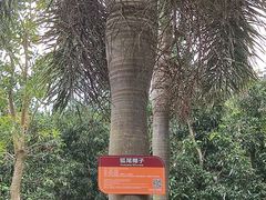 -白沙门生态公园