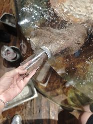 -Zoolung Zoolung动物主题公园(海信广场店)