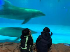 -华夏文旅海洋公园