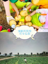 -麦粒鸟亲子游