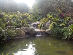 -晓港公园