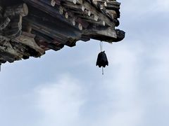 -洛阳白马寺