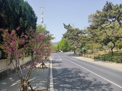 -八大关景区