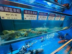 -協成海鮮火鍋(老店)