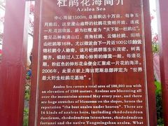 -永州阳明山国家森林公园