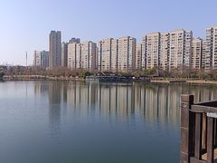 -洋湖国家湿地公园