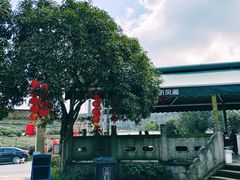 -听风阁农家私房菜茶楼(龙坞店)