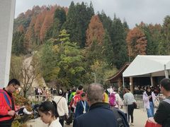 -太阳湾风景区