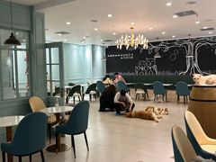 -安格丽娜·狗咖·猫咖羊驼咖(春熙路百盛商场店)