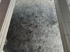 -浙江省科技馆