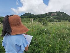 -白草畔自然风景区