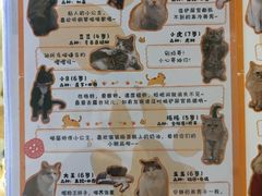 -小时光咖啡馆(北锣鼓巷店)