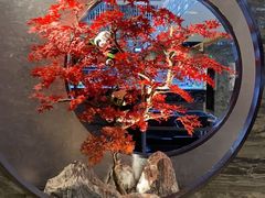 -红辣椒·川菜·火锅(大洋中心店)
