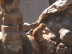 -李想大虾(牡丹路店)