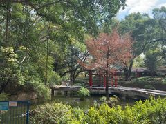 -九龙公园