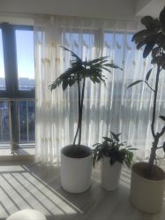 -HEYAN荷妍专业脱毛连锁机构