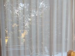 -世纪缘国际会议中心·中餐厅(百家湖店)