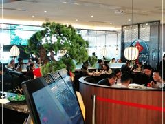 -新白鹿餐厅(虹桥南丰城店)