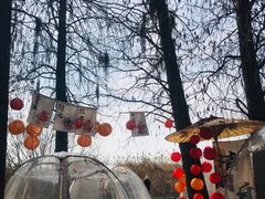 -同里国家湿地公园
