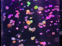 -邯郸海洋世界