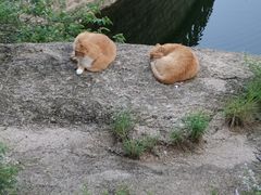 -北京凤凰岭