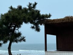 -日照灯塔风景区