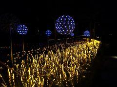 -怡海公园(桂城街道)