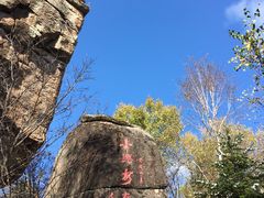-汤旺河林海奇石景区