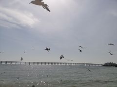 -大连圣亚海洋世界