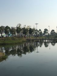 点击看大图 -水八仙生态园