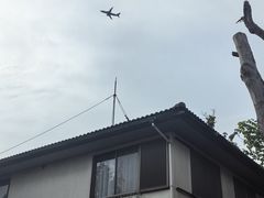 -厦门悦华酒店