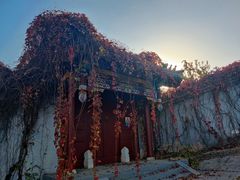 -北京西山国家森林公园