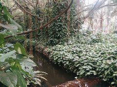 -海南热带野生动植物园